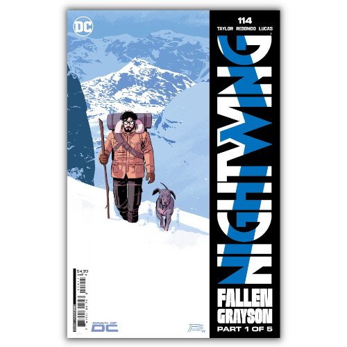 nightwing #114