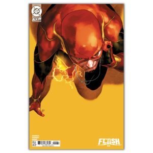 flash #22 cover C