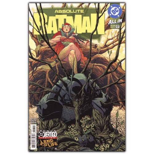absolute batman #17