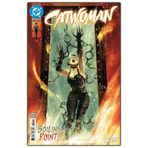 catwoman #89